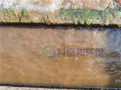 淀粉加工废水处理案例